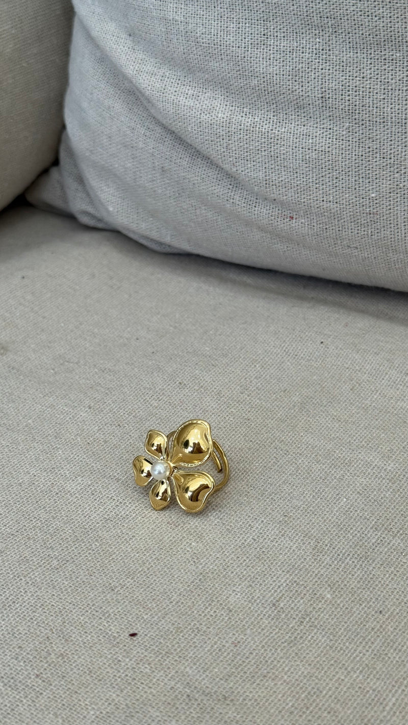 Bague acier inoxydable