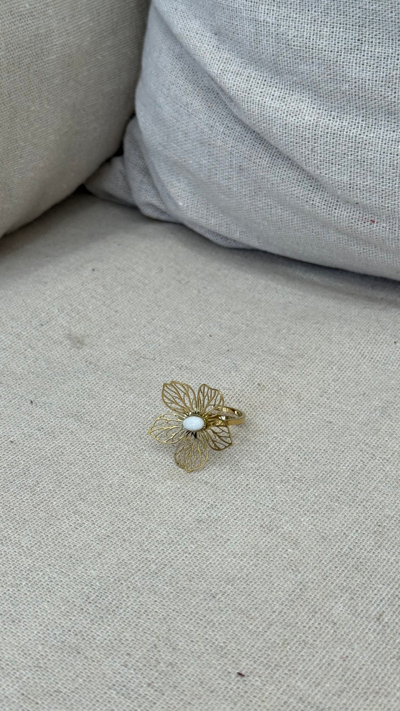 Bague acier inoxydable